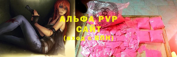 хмурый Белокуриха