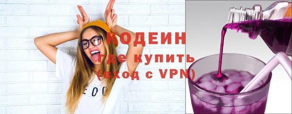 хмурый Белокуриха