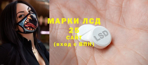 хмурый Белокуриха