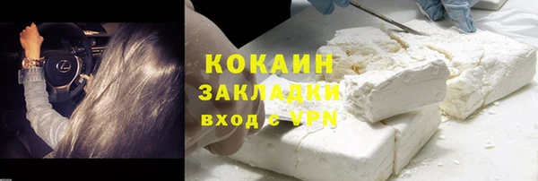 хмурый Белокуриха