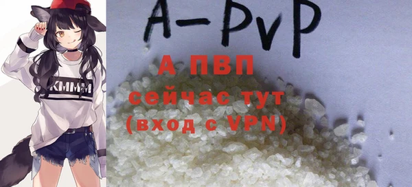 хмурый Белокуриха