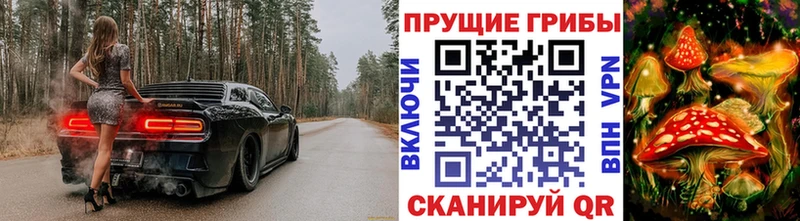 даркнет сайт Кубинка Галлюциногенные грибы прущие грибы
